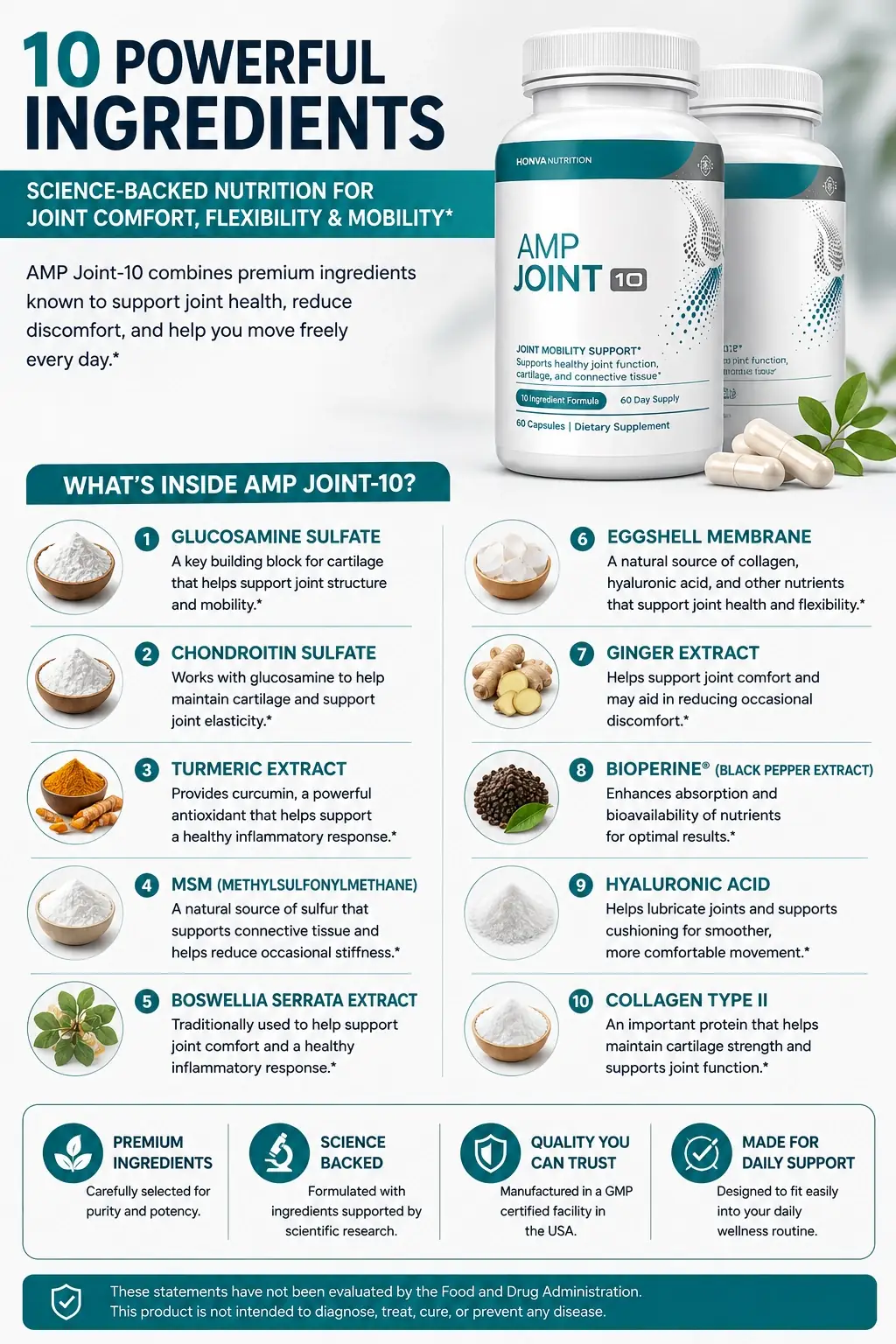 AMP Joint 10 ingredients art